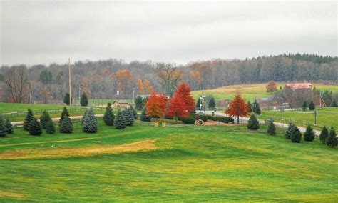 Rochester, NY Vacation Rentals - Airbnb