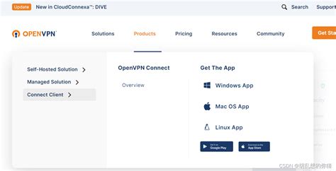 OpenVPN Project 的图像结果