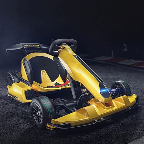 Buy AULPACO Safety Belt for Segway Ninebot Gokart Karting Accessories ...