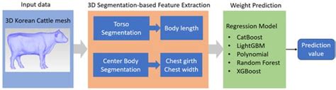 A Korean Cattle Weight Prediction Approach Using 3D Segmentation-Based ...