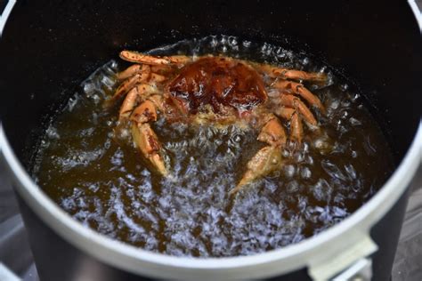 What Does the Green Crab Eat? An In-Depth Look at This Invasive Species ...