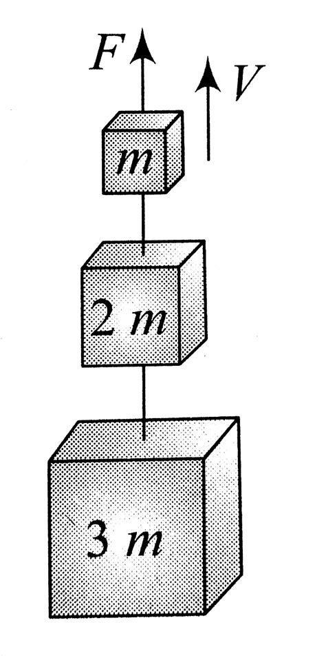 Three blocks with masses `m` , `2m` and `3m` are connected by strings ...