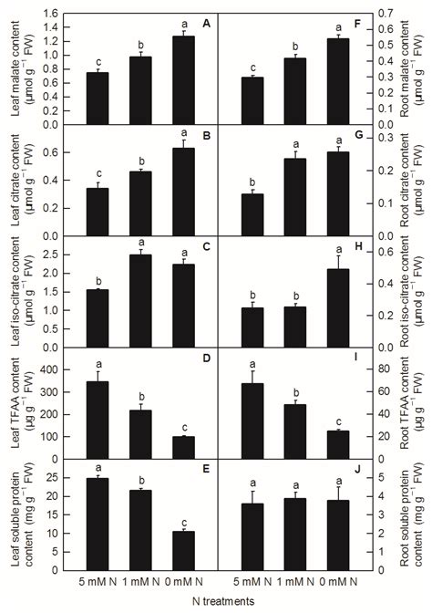 Effects of Nitrogen Deficiency on the Metabolism of Organic Acids and ...