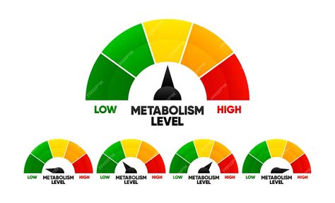 Premium Vector | Metabolism level scale control health concept gauge ...