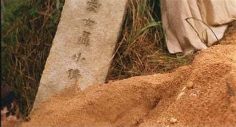 河南一村民祖坟被偷挖 事发前曾被要求迁移(图)-搜狐新闻