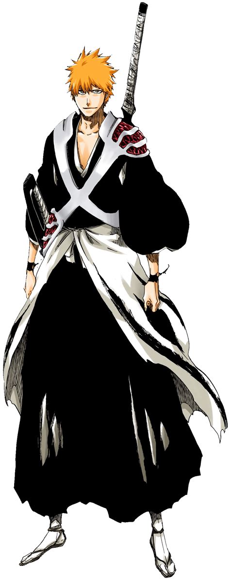 Ichigo True Bankai Wallpapers - Top Free Ichigo True Bankai Backgrounds ...