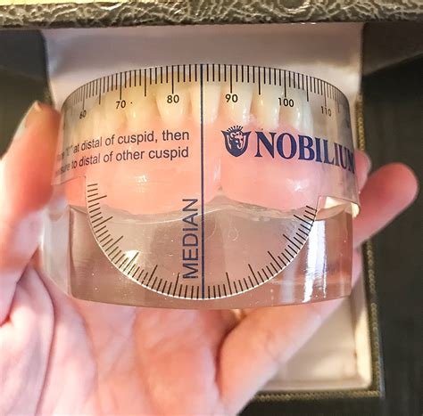 3 Pack Flexible Dentsply Measuring Denture Trubyte Millimeter Ruler ...