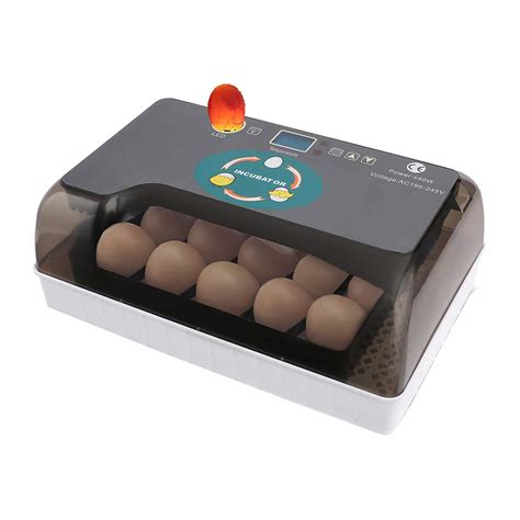 Buy CHICTI Incubators For Hatching Eggs Of Small Birds Fully Automatic ...