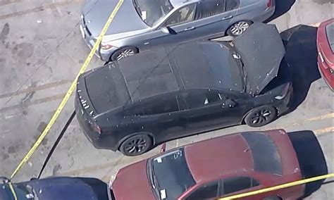 Decomposing body found in trunk of Tesla registered to singer D4vd in ...