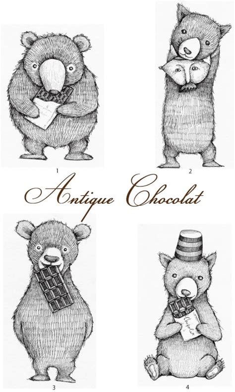 Antique Chocolat