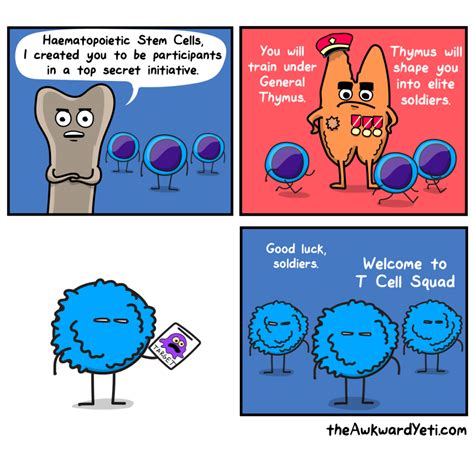 Biology Cartoon 的图像结果