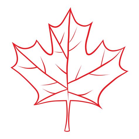 Canadian Maple Leaf, Hand Draw Illustration 23822712 Vector Art at Vecteezy