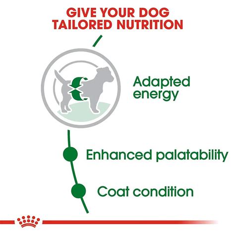 Royal Canin Mini Adult Dog Food Online - Hyderabad | Dogobow