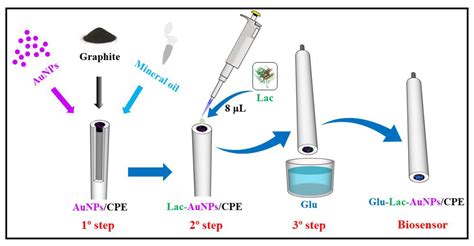 Amperometric Biosensor Based on Laccase Enzyme, Gold Nanoparticles, and ...