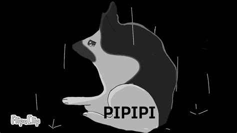 Image result for Pipapi