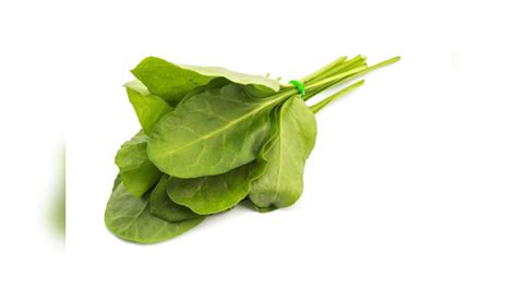 Weight Loss: 5 perfect soups that can help in weight loss