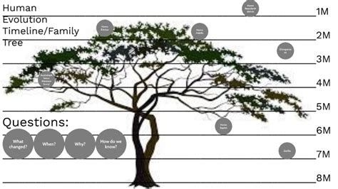 Evolution Family Tree 的图像结果