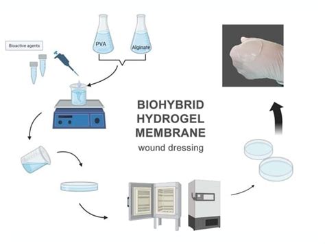Exploring the Impact of Alginate—PVA Ratio and the Addition of ...
