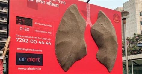 Delhi’s Air Pollution Caused A Clean Pair Of Lungs To Turn Black After ...