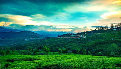 Hill Stations Near Kollam 2026 – Top 13 Places for a Scenic Getaway