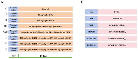 Combined BPA and DIBP Exposure Induced Intestinal Mucosal Barrier ...