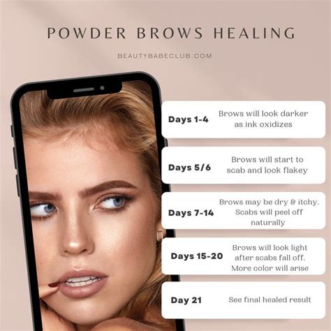 Image result for Eyebrow Powder Tutorial