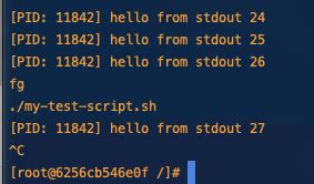 Unix Parent-Child Process 的图像结果