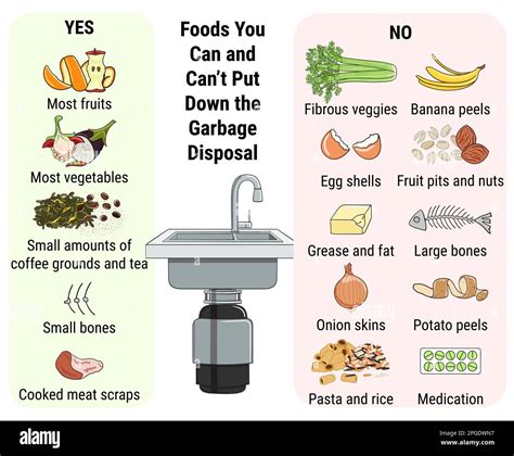 How To Remove Food Disposal From Sink at Elizabeth Burrows blog