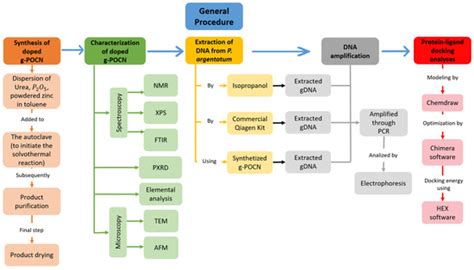 C | December 2022 - Browse Articles