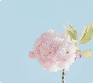 Wondershare Repairit - Fix Corrupted Audio Files at Ease