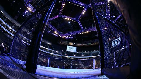 UFC Boxing 的图像结果