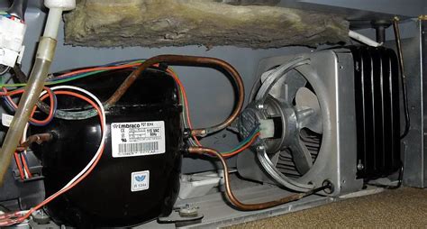 Neff Fridge Compressor Not Starting 的图像结果