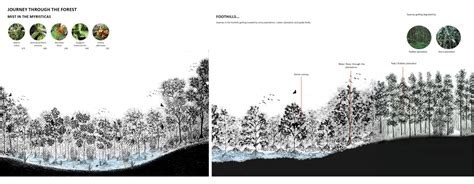 Discovering the Myristica swamps | CEPT - Portfolio
