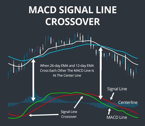 Signal Line 的图像结果