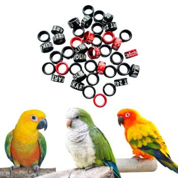 Sun Conure,Jenday Conure,Monkparakeet Bird Aluminum Close Leg Ring - 1 ...