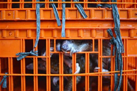 No-Trade No Killing 的图像结果