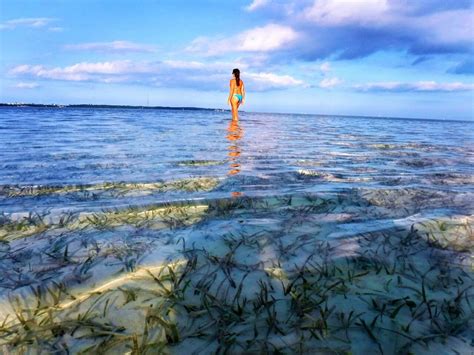 AQUABLUE ADVENTURES SANDBAR CHARTERS & BOAT TOURS - ISLAMORADA (2026 ...