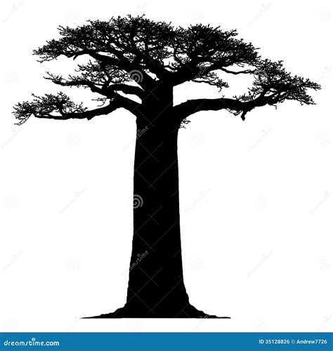 Silhouette Of A Baobab Tree Stock Illustration - Image: 35128826