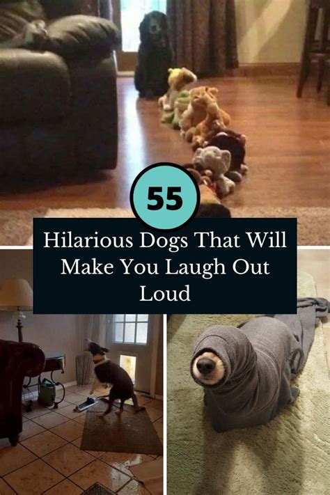 Image result for Dogs Making Humans Laugh