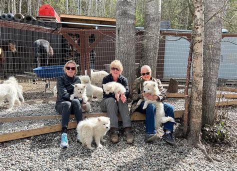 Q: How can I, as a dealer, add inventory to GoAntiquing! so it is ...