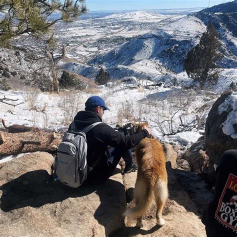 Trusted House Sitters Review - Must Read This Before Buying