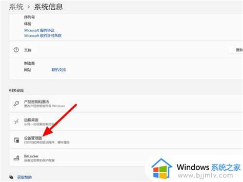 windows11无法访问internet怎么办_windows11已连接但无internet访问如何解决-windows系统之家