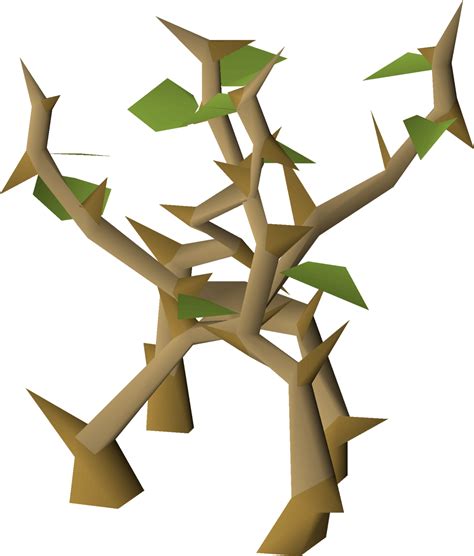 Light Jungle - OSRS Wiki
