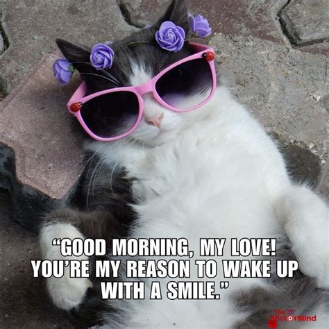 225+ Good Morning Meme Picks That’ll Have You Laughing Before Coffee ...