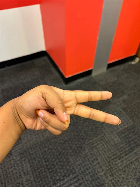 Computer Vision Model 的图像结果