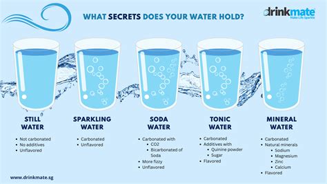 Soda Water vs. Sparkling Water: Unveiling the Fizz Facts | Drinkmate SG – Drinkmate Singapore