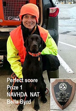 Home [thegundog.com]