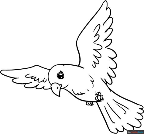 How to Draw a Bird | Easy Step-by-Step Drawing Guides