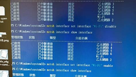 Netless Disable Script 的图像结果