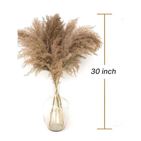 Pampas Grass Sticks for Decoration, Dried Grass Bunch, Boho Home Decor ...